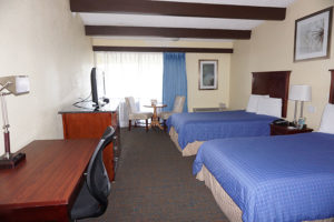 two double beds room